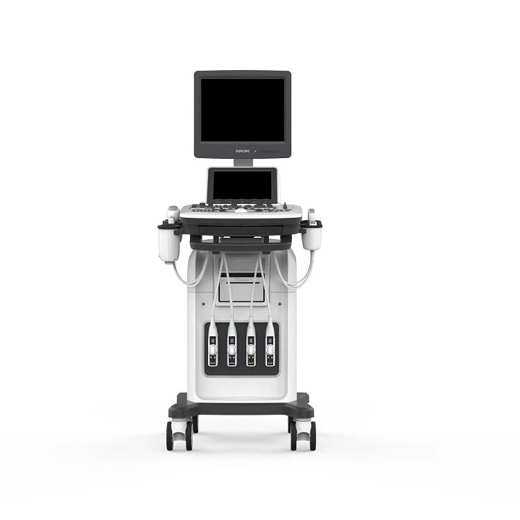 Color Doppler Vet Ultrasound