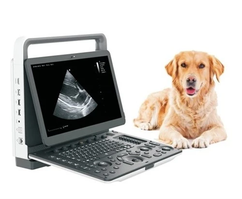Sistem portabil de ultrasunete color Doppler veterinar